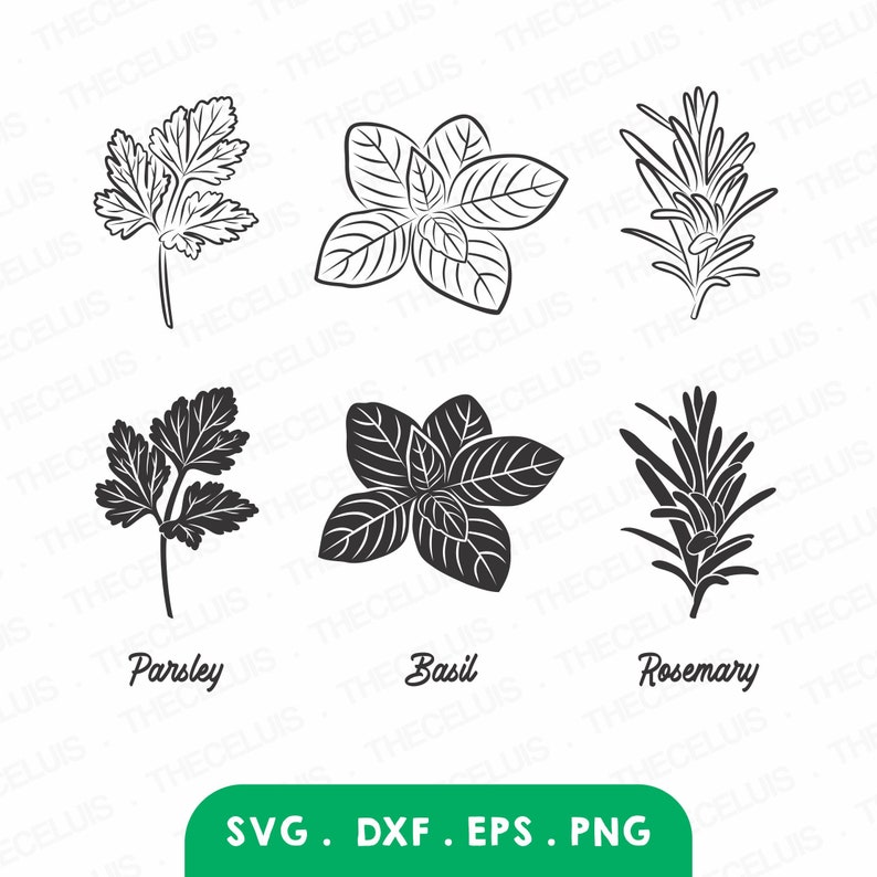 Parsley Basil Rosemary SVG: Herb Plant Digital Files (instant Download ...