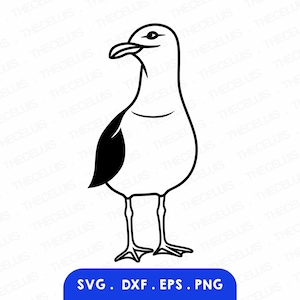 File SVG, DXF, EPS, PNG di GABBIANO - Taglio vinile/adesivo, incisione, stampa, clipart di uccelli marini, Cricut, Silhouette, download immediato