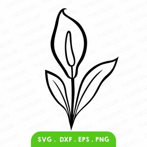 LIRIO DE LA PAZ Archivo Svg, Dxf, Eps, Png - Archivo de corte de vinilo, Archivo digital de lirio, Clipart de plantas, Cricut, Silhouette Cameo, Descarga instantánea