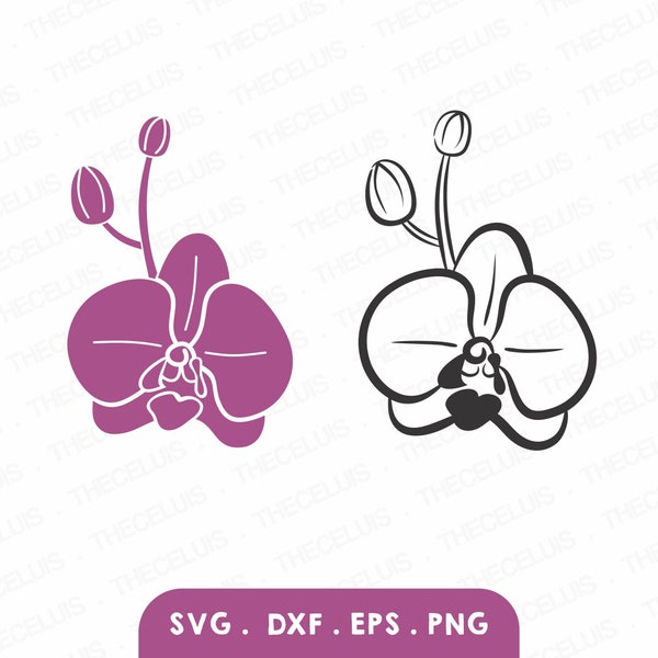 ORCHID - Outline & Silhouette - Vinyl Cutting File, SVG files, DXF File, Eps File, Png File, Clipart, Cnc, Cricut, Silhouette Cameo