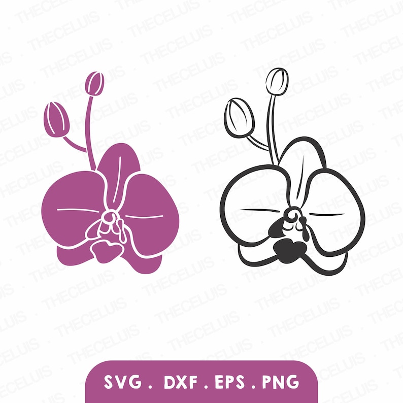 ORCHID Outline & Silhouette Vinyl Cutting File, SVG files, DXF File, Eps File, Png File, Clipart, Cnc, Cricut, Silhouette Cameo image 1