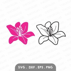 Lily Flowers - Outline & Silhouette - Vinyl Cutting File, SVG files, DXF File, Clipart, CNC, Digital File, Cricut, Silhouette Cameo