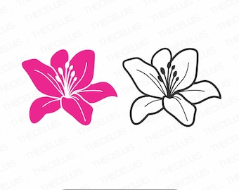 Lily Flower Outline & Silhouette - SVG DXF PNG Clipart (Digital File)