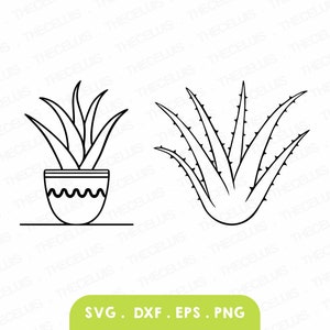 ALOE VERA Svg, Dxf, Eps, Png Files, Vinyl Cutting File, Indoor Plant Clipart, CNC, Digital File, Cricut, Silhouette Cameo, Instant Download