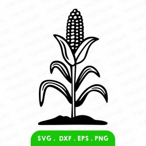 TIGES DE MAS Svg, Eps, Dxf, fichiers Png - vinyle / sticker découpe, gravure, impression, clipart plante de maïs, Cricut, Silhouette, téléchargement immédiat
