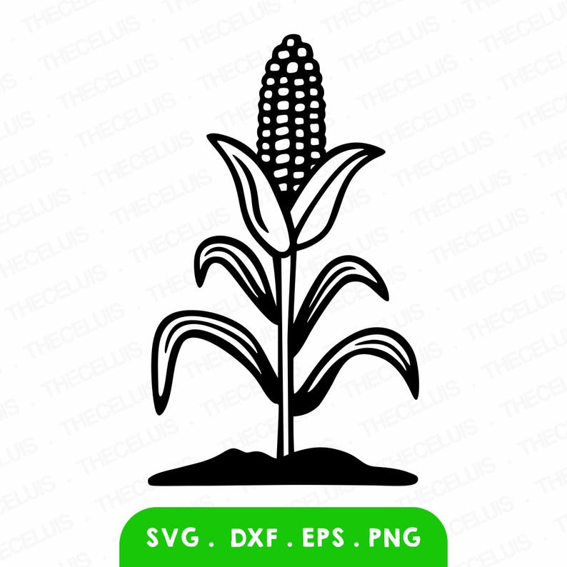 Corn Stalk SVG PNG Files: Maize Clipart for Cricut, Silhouette (instant ...