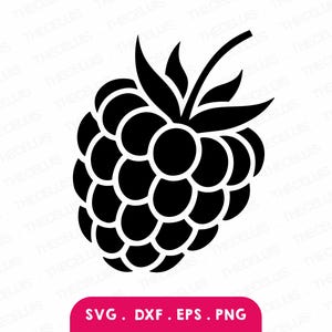Puede incluir: Gráfico en blanco y negro de una frambuesa con hojas y tallo. La frambuesa está compuesta por muchos segmentos pequeños y redondos. La imagen incluye el texto "SVG. DXF. EPS. PNG" en un rectángulo rosa en la parte inferior.