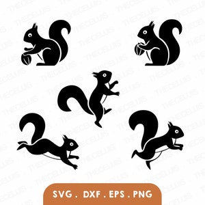 Écureuil Svg, Dxf, Eps, fichier Png - fichier de découpe vinyle, fichier numérique animal, écureuil Bundle Clipart, Cricut, Silhouette, téléchargement immédiat