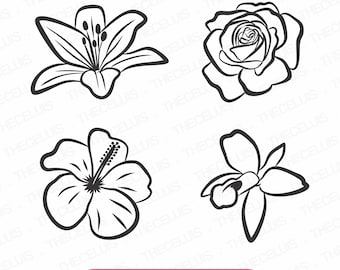 Flowers Bundle Clipart - Lily, Rose, Hibiscus, Orchid Svg, Dxf, Eps, Png Files, Vinyl Cutting Flowers Outline Engraving, Cricut, Silhouette