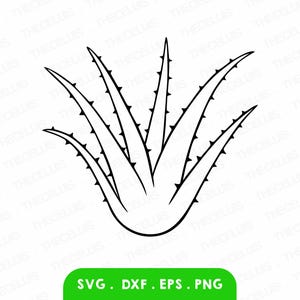 ALOE VERA Outline Svg, Dxf, Eps, Png Files - Vinyl Cutting Plant Engraving, Succulent Clipart, Aloe Vera Cricut Silhouette, Instant Download
