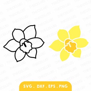 Narciso (contorno y silueta) en archivos SVG, DXF, EPS y PNG - Corte de vinilo, grabado, impresión, imágenes prediseñadas de flores, Cricut, descarga instantánea