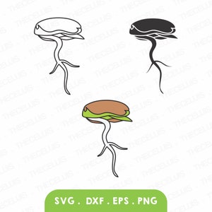 May include: Three illustrations of a seed sprouting. The first is a black and white outline, the second is a solid black image, and the third is a colored image with a brown seed, green leaves, and a white stem.