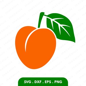 Abrikoos SVG PNG-bestanden – Fruit Clipart voor Cricut, Silhouette en DIY Crafts (digitale download)