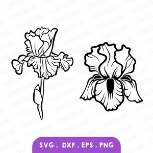 May include: A black and white line art illustration of an iris flower. The flower is shown in two different views, one with the stem and one without.