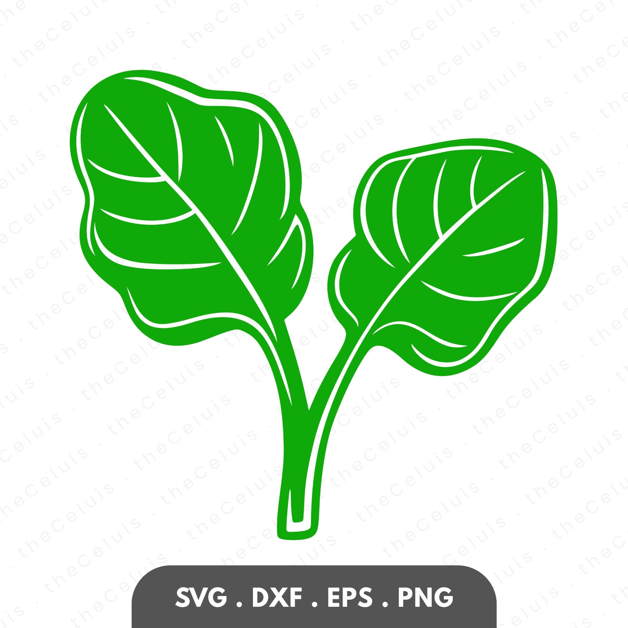 Espinacas png - Etsy México, image size:2160x2160