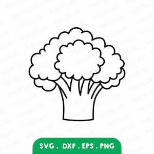 BROCCOLI Svg Dxf Eps Png Files | Broccoli Outline Clipart Broccoli File for Cricut & Silhouette Vegetable Engraving Vector Digital Download