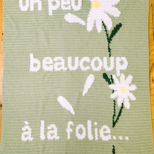 Peut inclure: Une couverture crochetée de couleur vert clair, avec le texte blanc "Un peu beaucoup à la folie..." et des motifs de fleurs de marguerite. Les marguerites ont des pétales blancs et des centres jaunes, avec des tiges et des feuilles vertes.