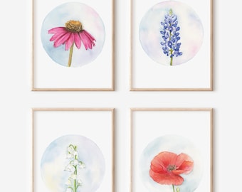 May include: Set of four watercolor paintings featuring different flowers in a circle on a white background. The flowers are a pink coneflower, a blue Texas bluebonnet, a white lily of the valley, and a red poppy.