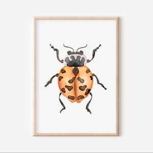 Lady Beetle Art Print