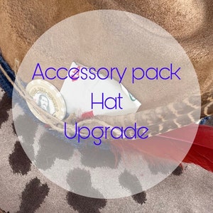 Hat accessory pack upgrade hat Hand burned cowboy hat cowboy hat Ladies western explorer  hat wedding hat Wide brim fedora