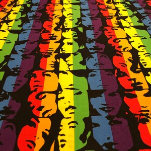 Fabric, My Crowd, Alexander Henry, DE LEON Design Group, 100% Cotton Fabric, Rainbow