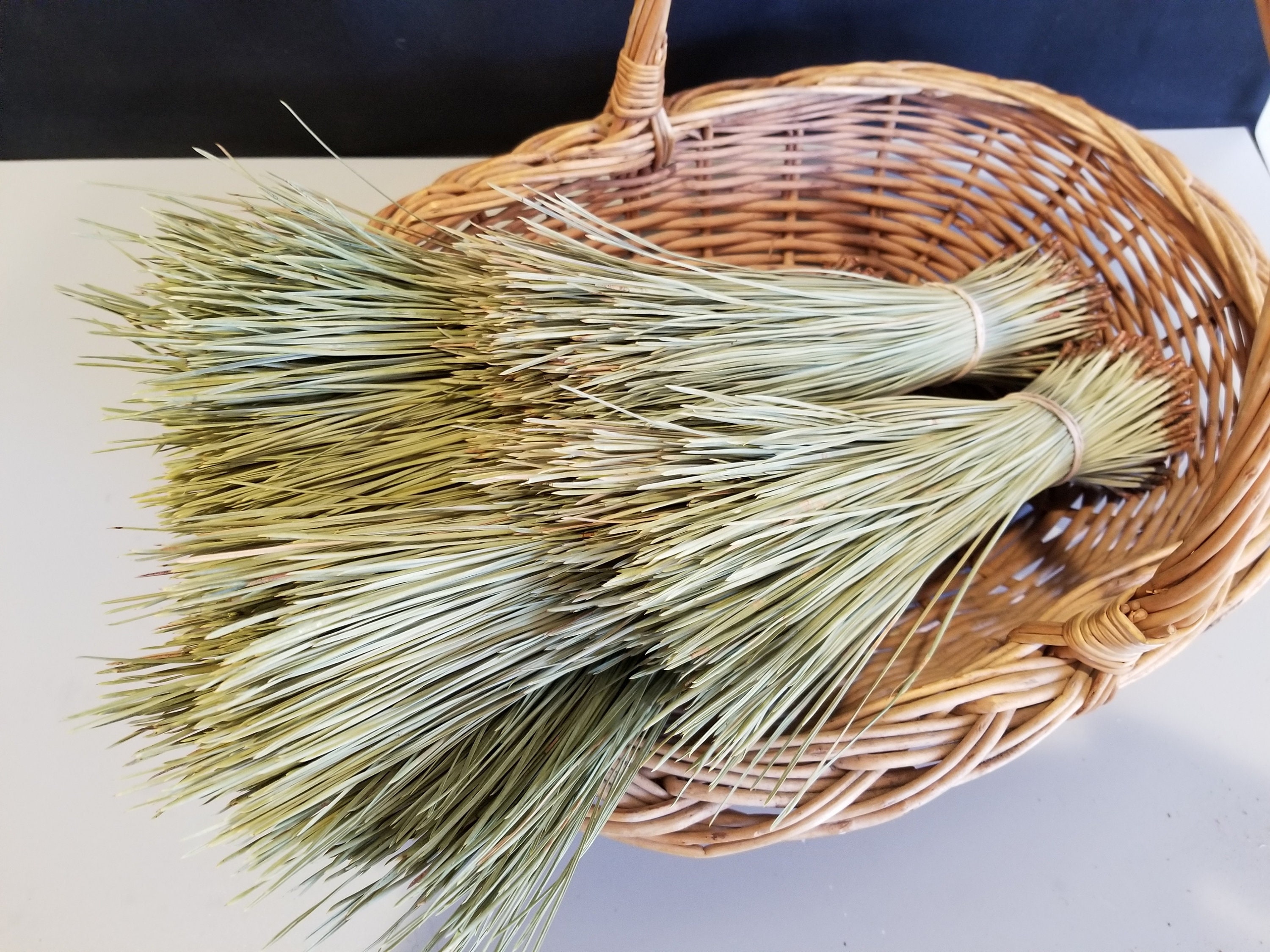 Natural Pine Needles Shade Dried 1 lb. Etsy