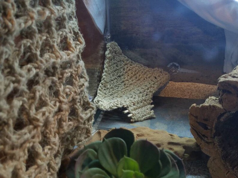 LEO LOUNGER// Reptile Hammock/ Leopard Gecko Hammock/ Bearded Etsy