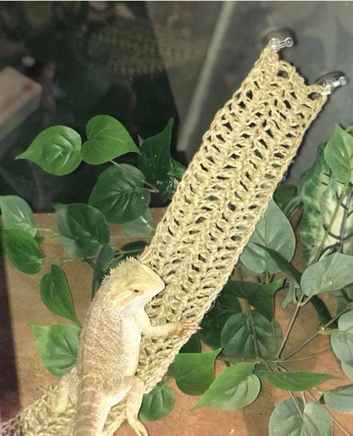 SWING STYLE Reptile Hammock Etsy