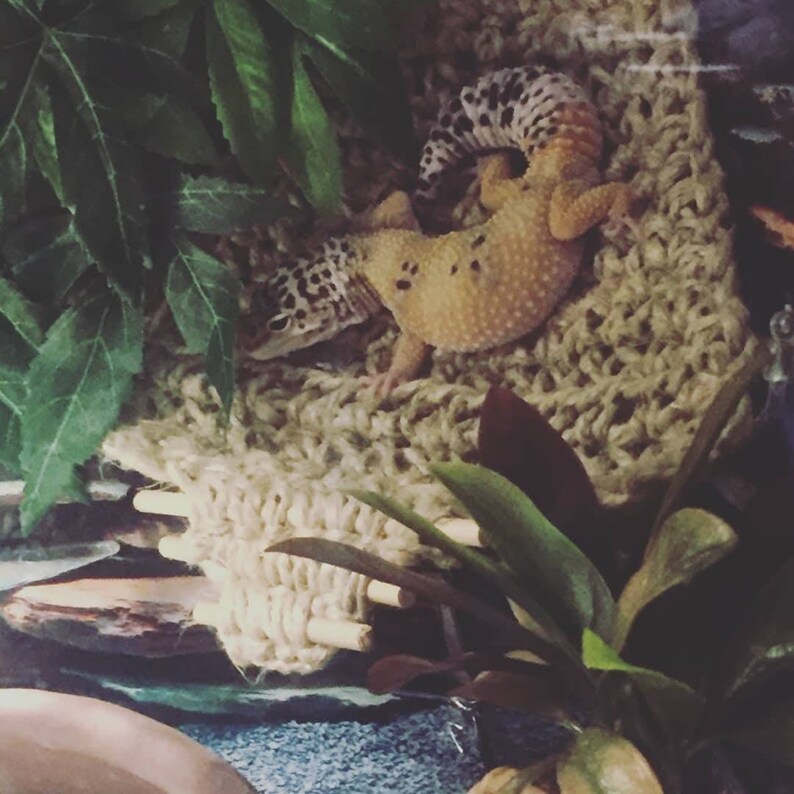 LEO LOUNGER// reptile hammock/ leopard gecko hammock/ bearded Etsy