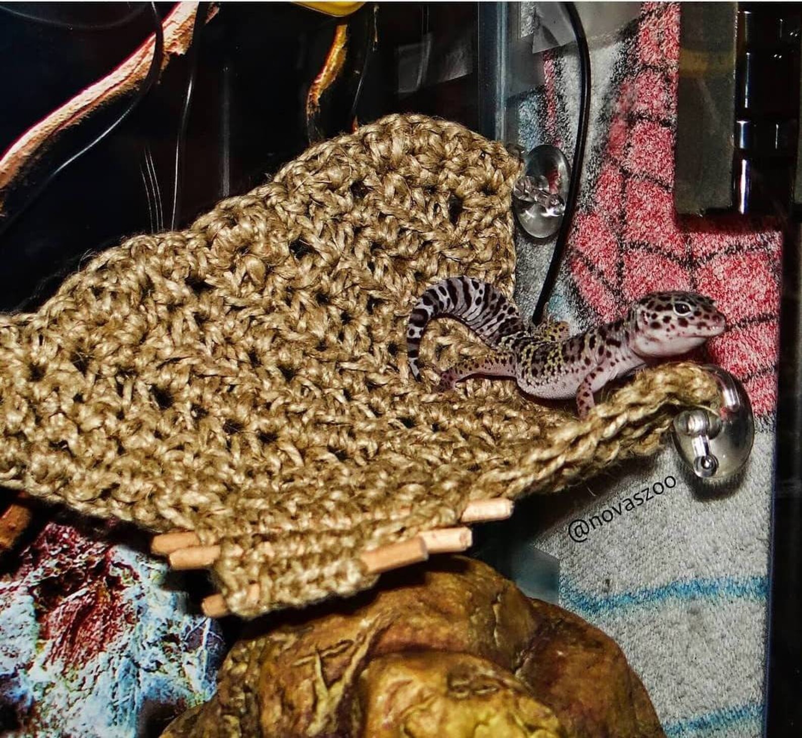 LEO LOUNGER// Reptile Hammock/ Leopard Gecko Hammock/ Bearded Etsy