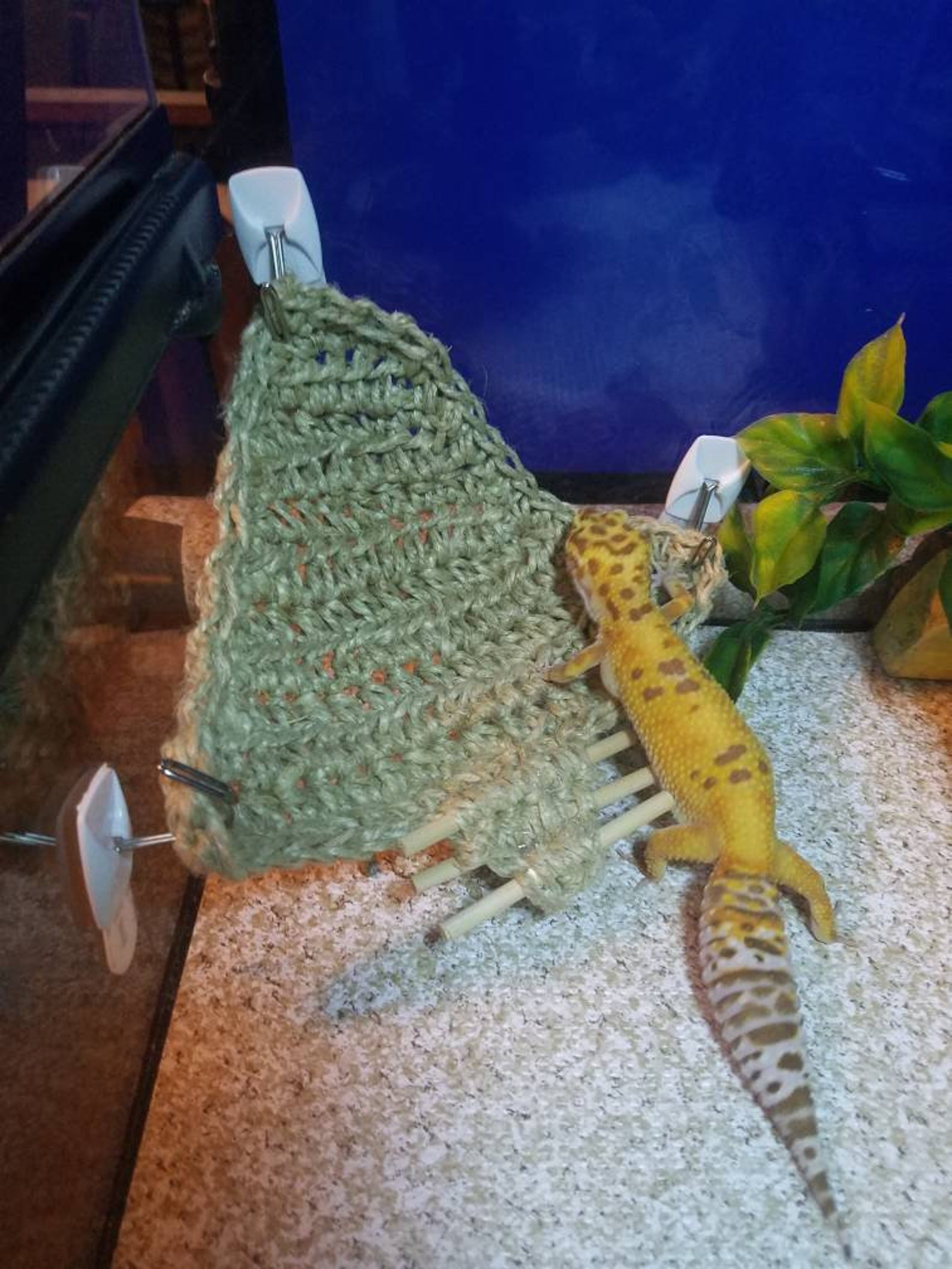 LEO LOUNGER// reptile hammock/ leopard gecko hammock/ bearded Etsy