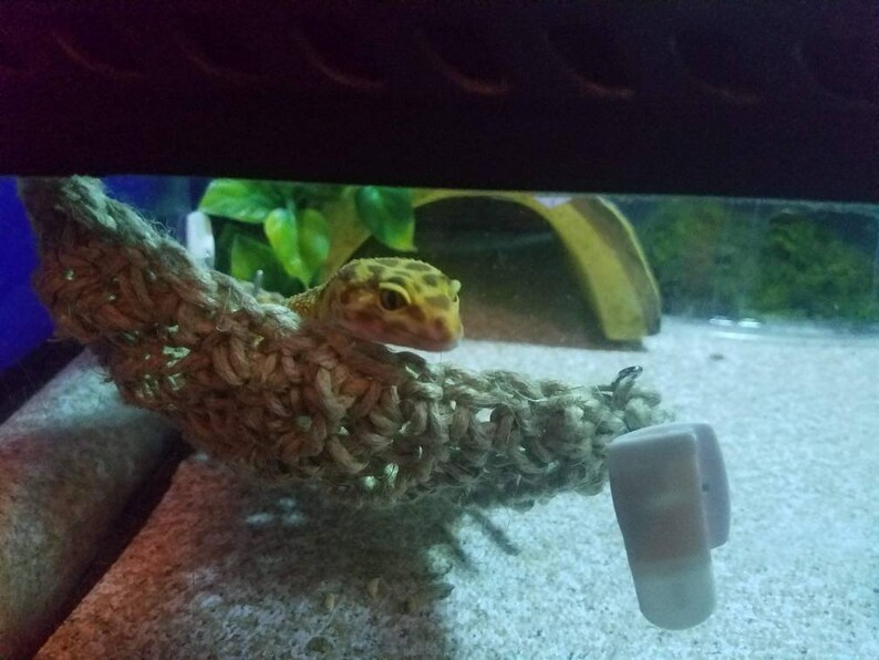 LEO LOUNGER// reptile hammock/ leopard gecko hammock/ bearded Etsy