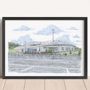 Brighton and Hove Albion, Brighton, Amex Stadium, Seagulls, Premier League, English Football Art, Framed Football Stadium Print