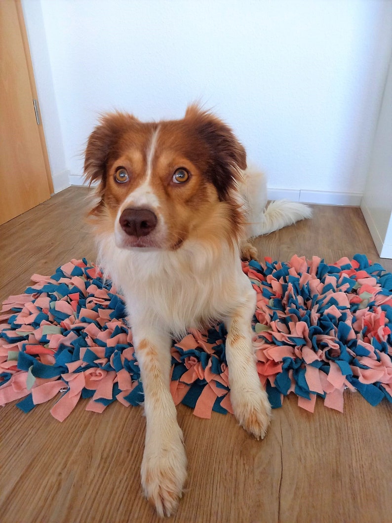 Jouet pour chien XXL, tapis à renifler, marron, gris, blanc, couleurs et tailles au choix image 9