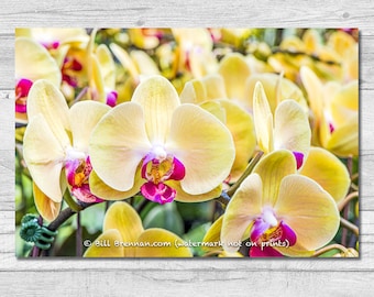 Yellow Orchids Canvas Wrap Photograph Wall Art Print Decor Flower Floral Foliage Colorful Garden Petals Red Color Macro Close Up