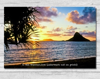 Mokolii Island Sunrise Canvas Wrap Photograph Wall Art Print Decor Coast Coastal Palm Tree Tropic Tropical Rainbow Colors Oahu Chinamans Hat