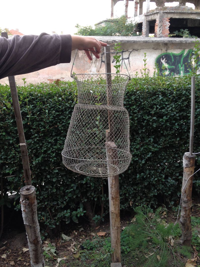 Vintage Metal Fish Trap Fish Basket Wire Basket Collabsible Etsy