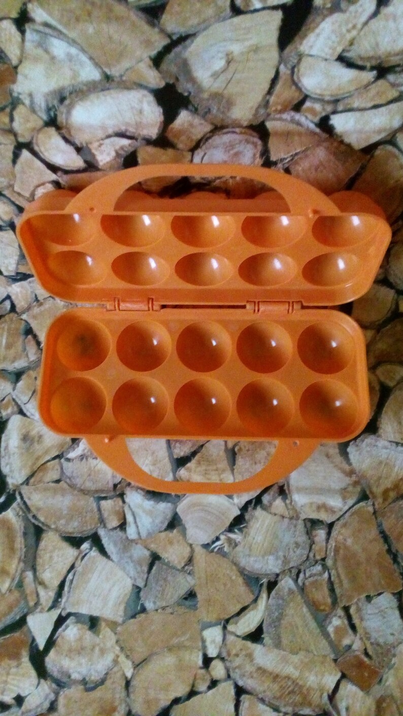 Envase de Huevos de Naranja Vintage Nido para Huevos | Etsy