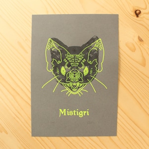 Mistigri sérigraphie, tête de chat noir, chauve souris fluo