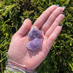 May include: Two small amethyst crystal clusters in a hand. The crystals are a deep purple color and have a rough, natural texture.