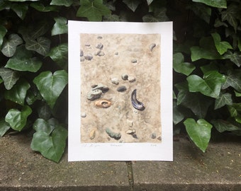 Potomac shells and sand 9x12 watercolor print