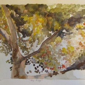 Tree branches 9x12 watercolor print image 3