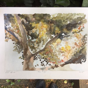 Tree branches 9x12 watercolor print image 4