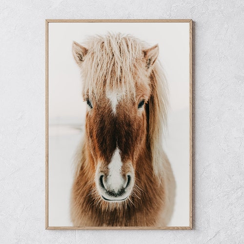 Printable Icelandic Pony Horse Wall Decor Instant Download Etsy