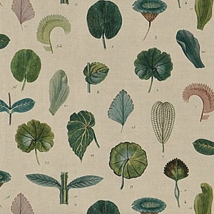 A LEAF STUDY LINEN - John Derian, pillow cushion cover