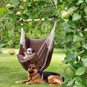 May include: A brown hammock with white rope hangs from a tree branch, with a small dog inside. A German Shepherd dog lies on the green grass below. The scene is set in a garden with apple trees.