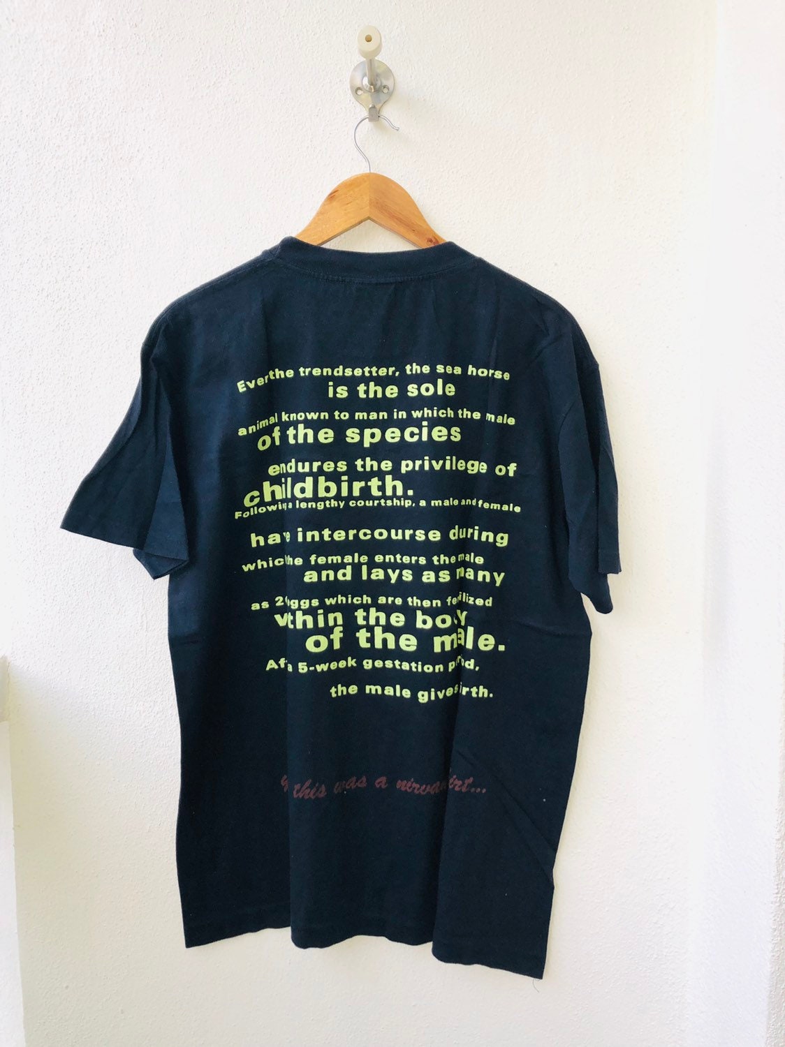 Vintage Nirvana All Apologies rape Me Seahorse Released 1993 Rare Design Grunge Music Band T shirt L Black Color FREE POSTAGE Etsy UK