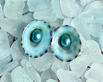 Blue Limpet Shell & Pearl Earrings | Aqua Freshwater Pearl Earrings | Mermaid Earrings | Beach Bride Wedding Earrings | Eco Bridesmaid Gift