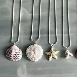 May include: A selection of silver chain necklaces, each with a different pendant. Pendants include a seashell with a black and white pattern, a white coral-like design, a gold starfish, a small white coral, a purple seashell, and a white seashell.