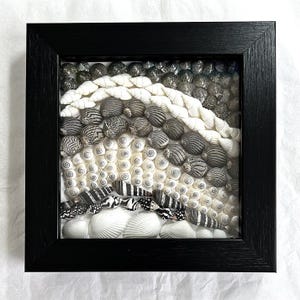 Peut inclure: Une œuvre d'art encadrée de coquillages, présentant un motif en couches de coquillages blancs, gris et noirs. L'agencement crée un motif texturé en forme de vague, encadré dans un cadre noir.